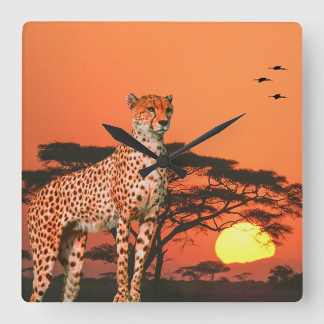 Lås för akrylvägg fyrkantig klocka (Framsida)