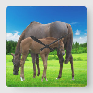 Lås för akrylvägg fyrkantig klocka