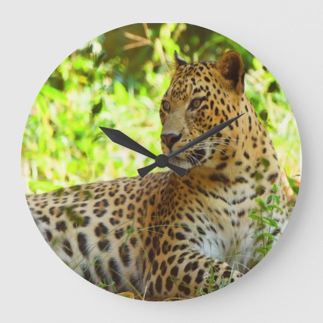 Lås för akrylvägg stor klocka (Framsida)