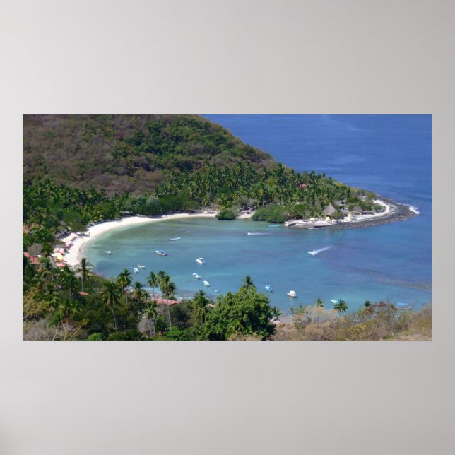 LAS GATAS POSTER (Framsidan)