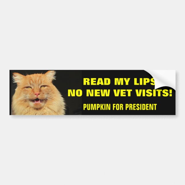 Läs Läppar.. Pumpkin till president Bildekal (Framsidan)