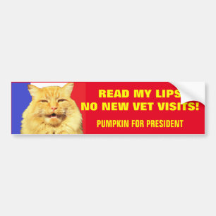 Läs min Läppar No Vets ...Pumpkin för president 20 Bildekal