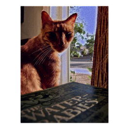 Läs mitt mind, Poster katt Perfect Poster