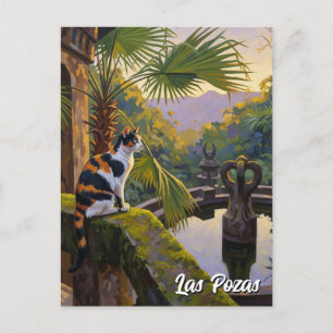 Las Pozas Mexico Travel Vykort