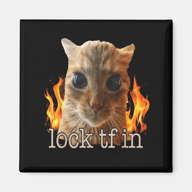 Lås tf i katt magnet (Framsidan)