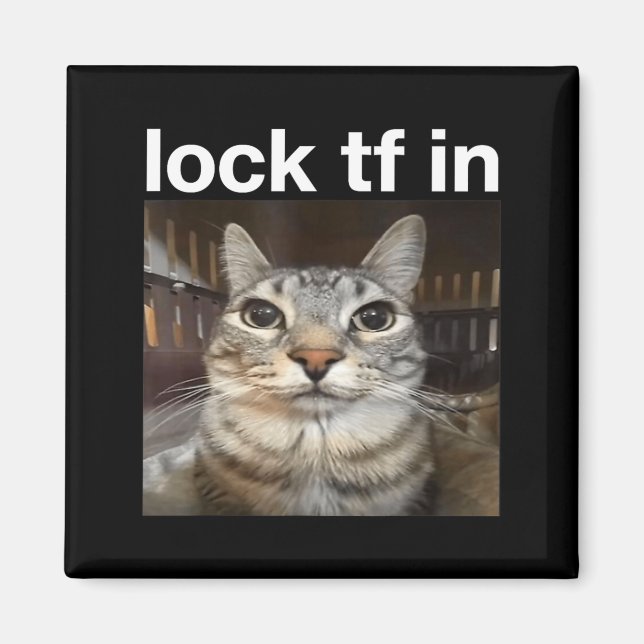 Lås TF i katt meme Magnet (Framsidan)