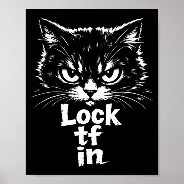 Lås TF i katt Poster (Framsidan)