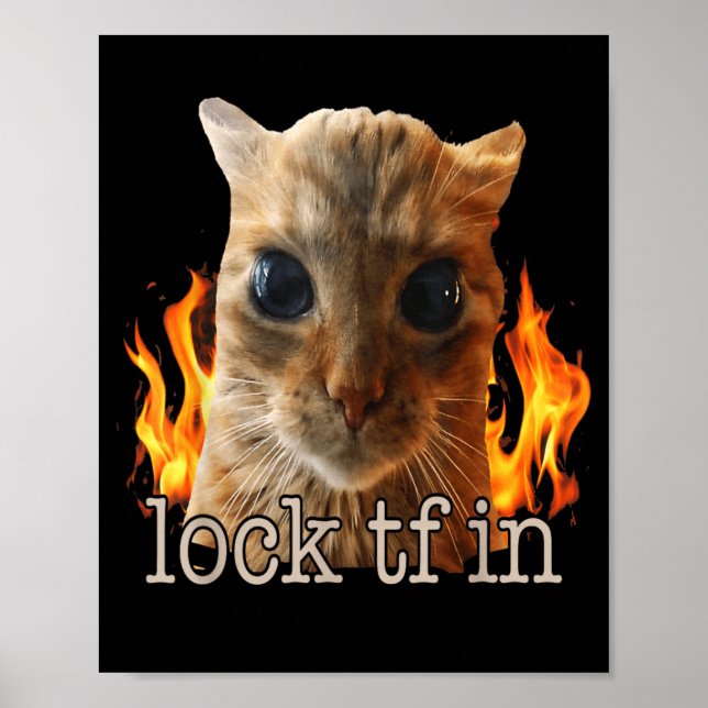 Lås tf i katt poster (Framsidan)