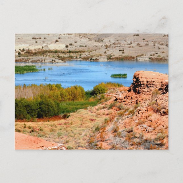 Las Vegas Bay, Sjö Mead, Nevada Vykort (Framsida)