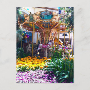 Las Vegas Botanical Garden Vykort