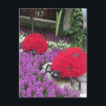 Las Vegas Butterfly Garden Flower Ladybug UNIQUE G Vykort<br><div class="desc">MALL: Butterfly Garden Flower Ladybug UNIQUE G roligtCOLORFUL-skämt BIRTHDAY BRÖLLOP HELGDAGARS FUNny COLORFUL HUMOR monogram mönster TRAVELANNIVERSARY BABYSHOWER att hennes par manar Women tonåringar Children Pets Grandföräldrars CARE COERN HER COUPLE KIDS TONÅRING FIRANDE STUDENTEN RELIGIÖSA BRÖLLOP REUNION SYMPATHY BIRTHDAY HELGDAGAR ROLIGT HUMOR COLORFUL TECKNAD TRAVEL BRÖLLOP FÖRLOVNING GRAVID TONÅRING BABYSHOWER...</div>