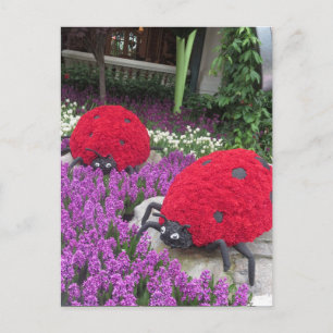 Las Vegas Fjärilsträdgård Blomma Nyckelpiga UNIK G Vykort