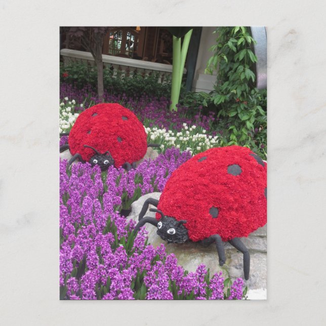 Las Vegas Fjärilsträdgård Blomma Nyckelpiga UNIK G Vykort (Framsida)