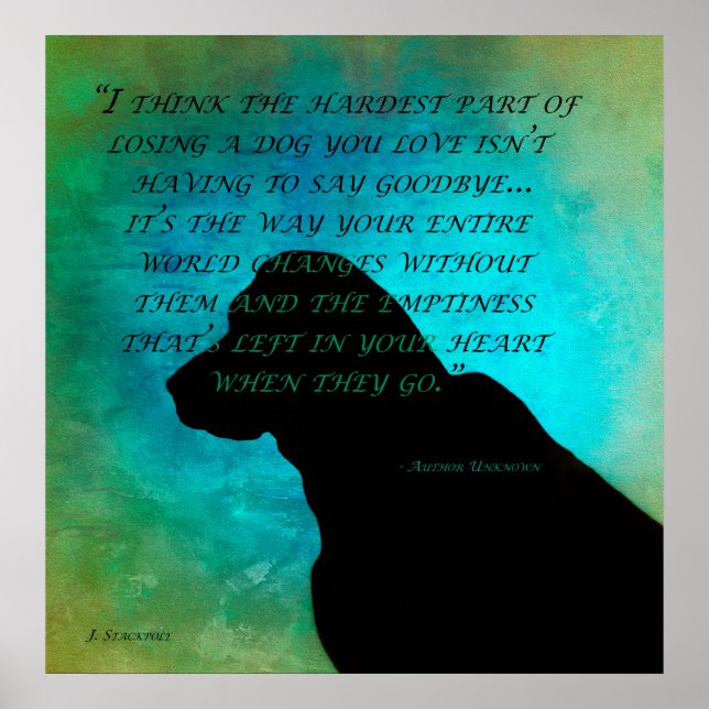 Låsa en Hund Poster (Framsidan)