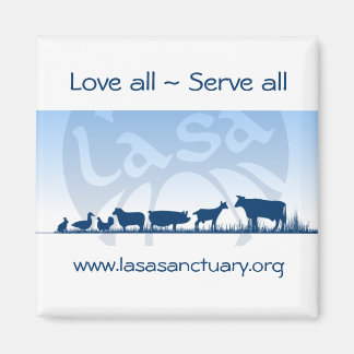 Lasa Magnet