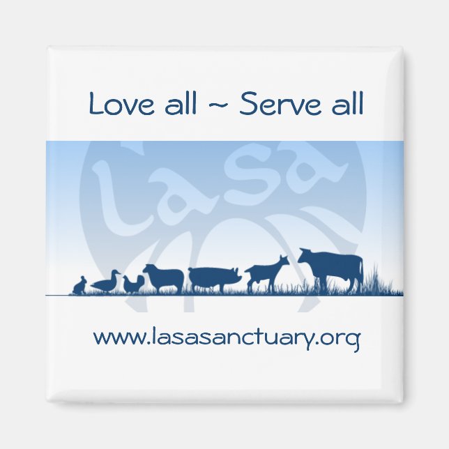 Lasa Magnet (Framsidan)