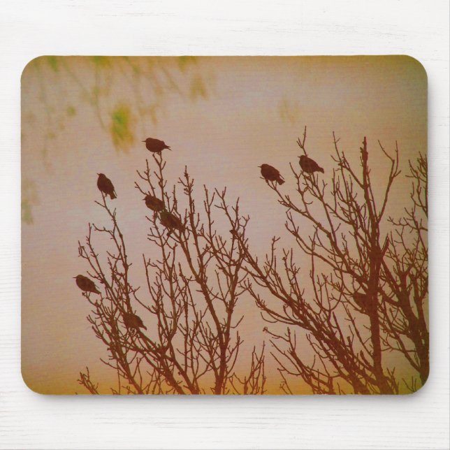 Låsa samman musmatta (Framsidan)