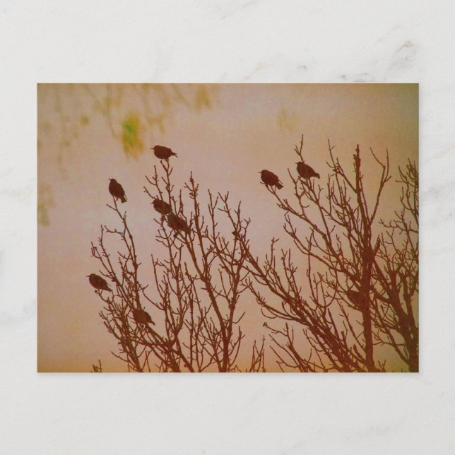 Låsa samman vykort (Framsida)