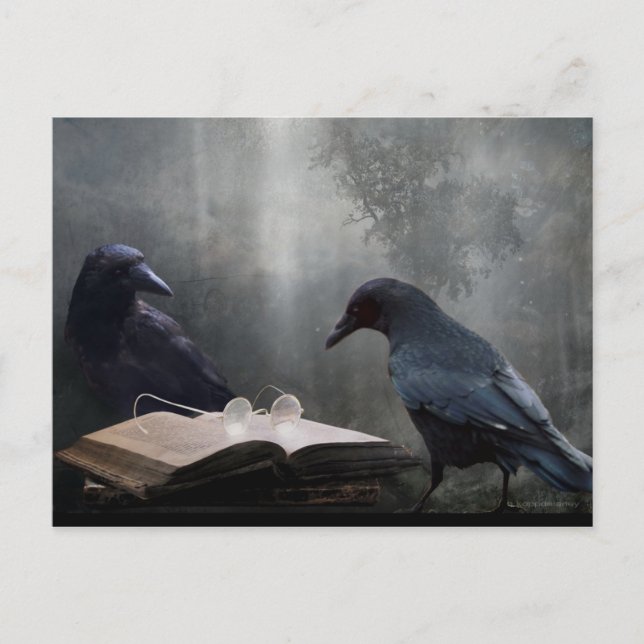 Läsare Vykort (Framsida)