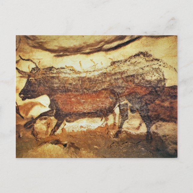 Lascaux PreHistorical Cave-målningar Vykort (Framsida)