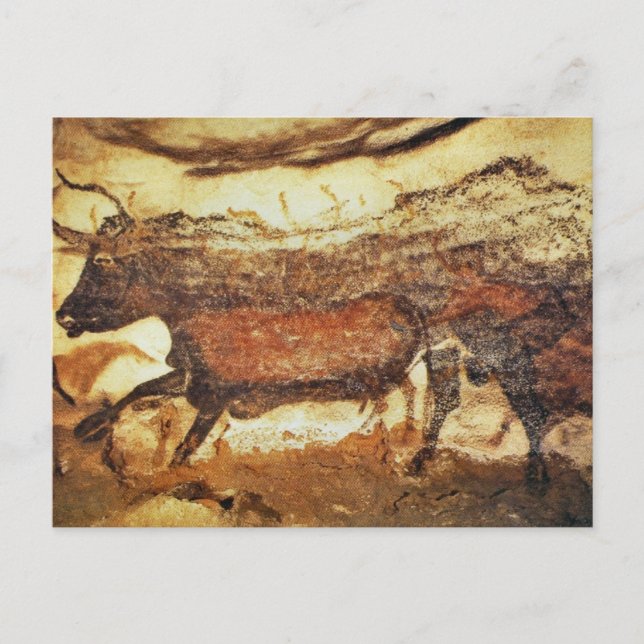 Lascaux Prehistorisk Cave Art Vykort (Framsida)