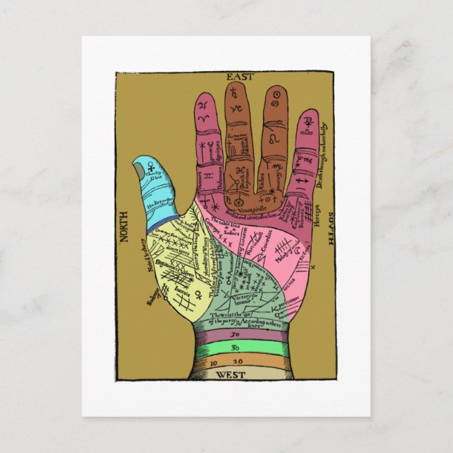 Läsdiagram för antikent Handflatan Vykort (Framsida)