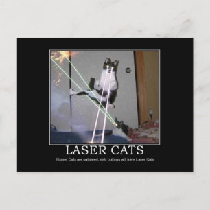 Laser Cats vykort