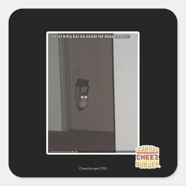 Laser Kattunge Fyrkantigt Klistermärke (Framsida)