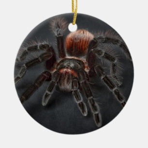 Läskig tarantelspindel Arachnophobia Julgransprydnad Keramik