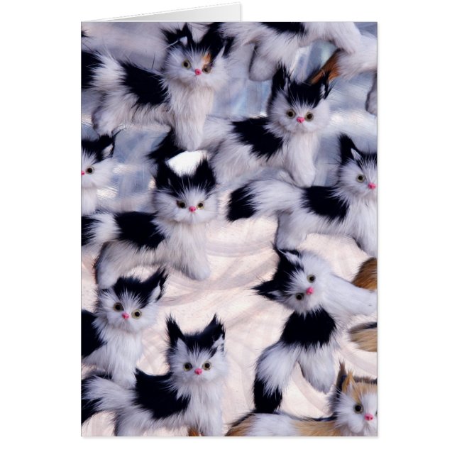 läskiga katter hälsningskort (Framsidan)