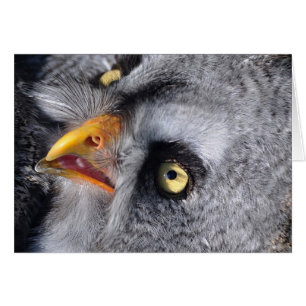 Läskigt öga hälsningskort