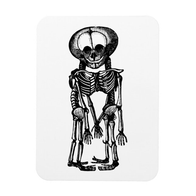 läskigt siamesiskt twillingar Skeleton Barn anatom Magnet (Vertikal)