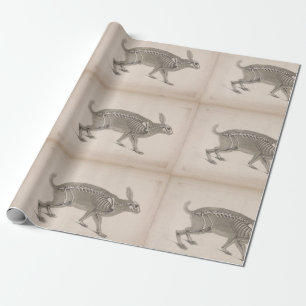 Läskigt vintagekaninskelett presentpapper
