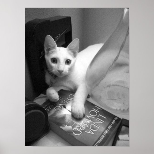 Läsning Poster (Framsidan)