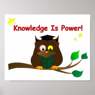 Läsning Wise Uggla Poster