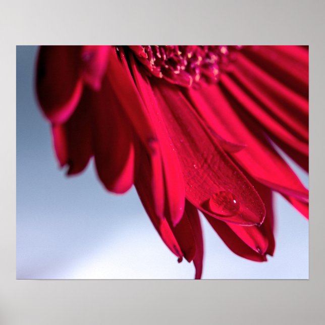 Lass Blüten Sprechen Poster (Framsidan)