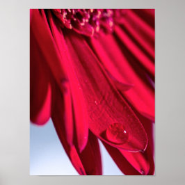 Lass Blüten Sprechen Poster