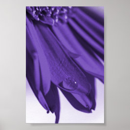 Lass Blüten Sprechen Poster