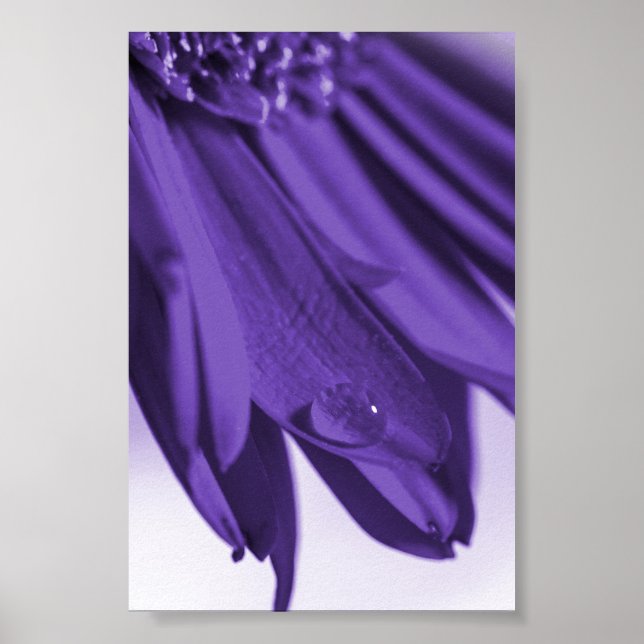 Lass Blüten Sprechen Poster (Framsidan)