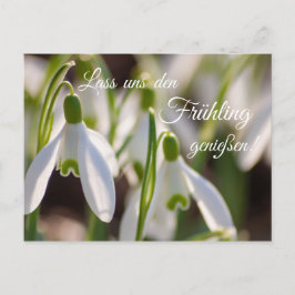 Lass uns den Frühling genießen! Vykort