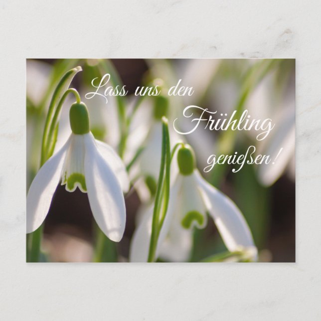 Lass uns den Frühling genießen! Vykort (Framsida)