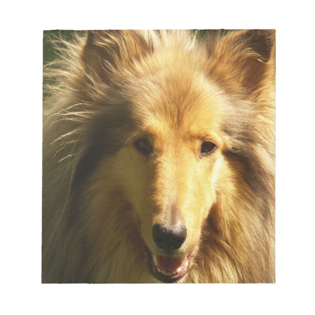 Lassie Collie Anteckningsblock (Framsida)