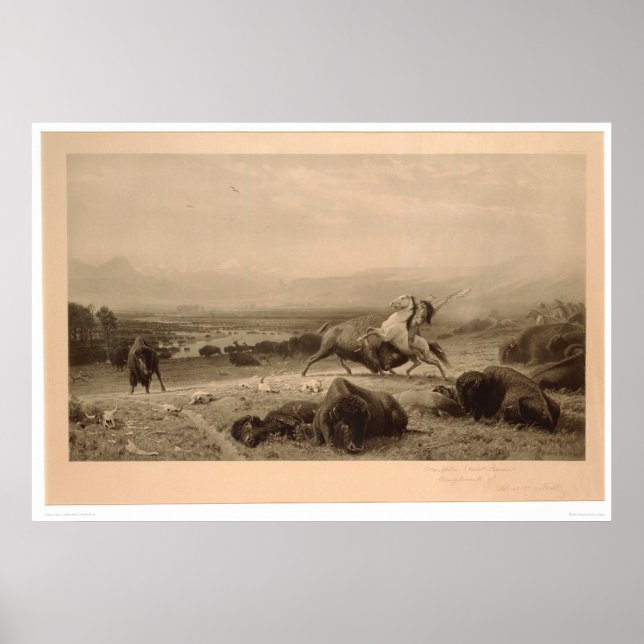 Last of the Buffalo Bierstadt (0137A) - Restored Poster (Framsidan)