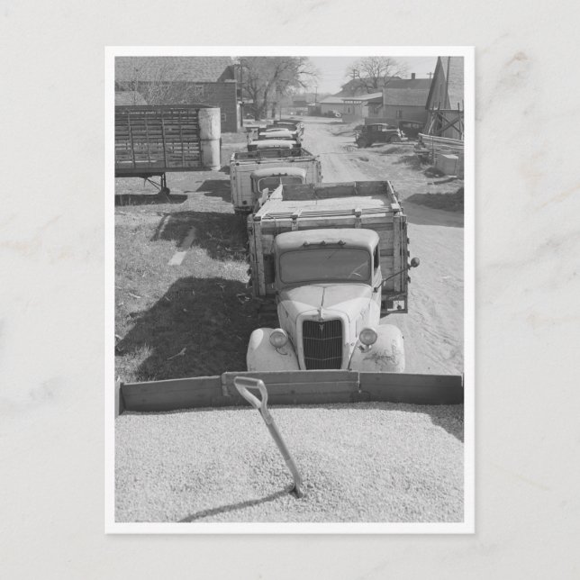 Laster av skalad Maj Vykort (Framsida)