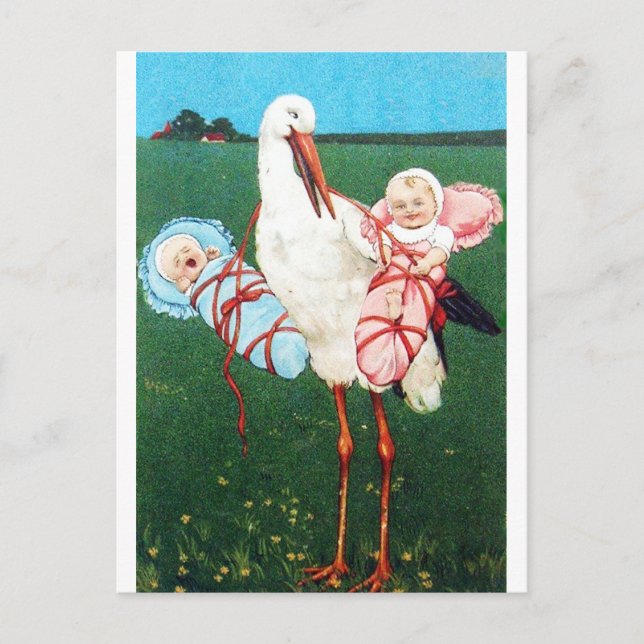 LASTORK TWIN BABY SHOWER, Rosa, Teal Blue Inbjudan Vykort (Framsida)