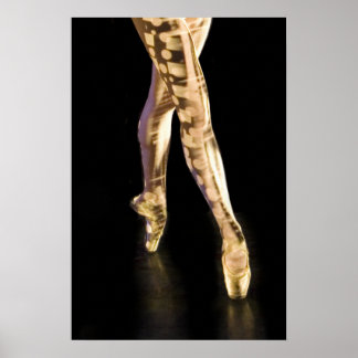 Lastpall Poster-4204 Poster