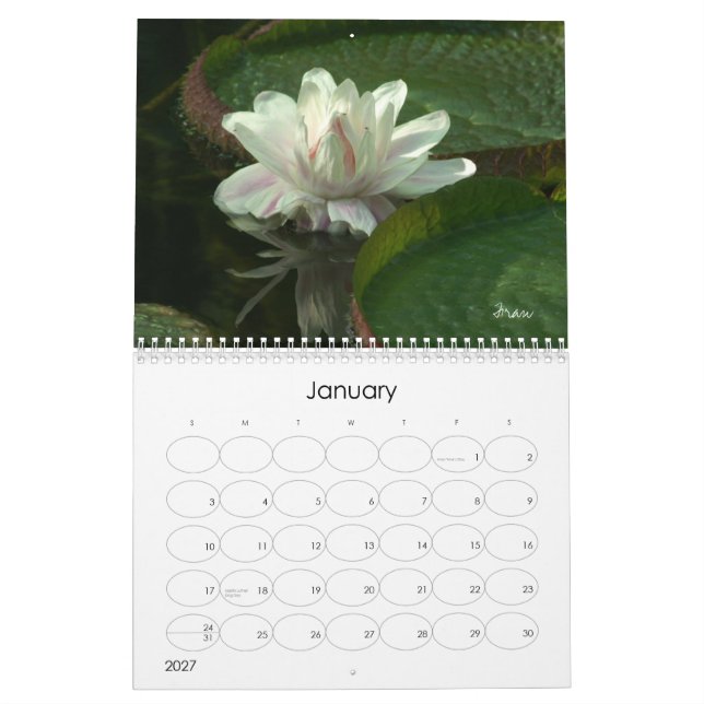 Låt 2013 ge kalender (Jan 2027)