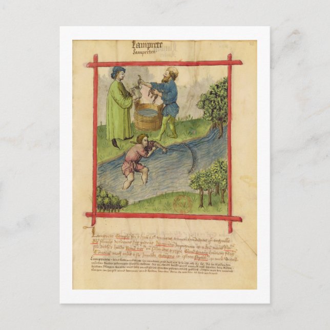 Lat 9333 f.82 Fiske efter ål, från Tacuinum Vykort (Framsida)