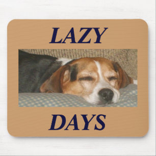 Lat Beagle Musmatta