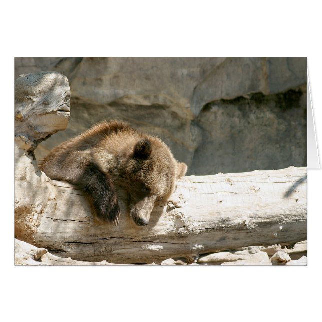 Lat björn hälsningskort (Framsidan Horizontal)